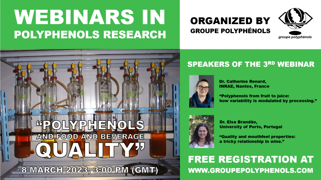 3rd webinar flyer 3
